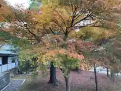 東漸寺(千葉県)