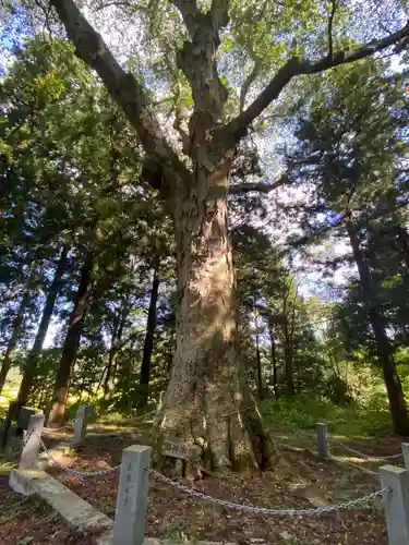 三嶽神社の自然