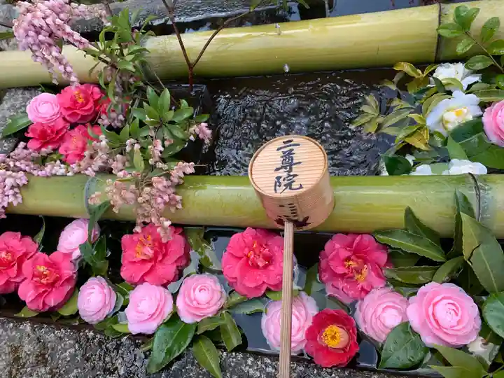 二尊院の手水舎