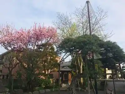 鳳林院(東京都)