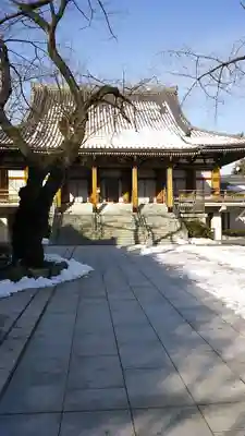 伝通院の本殿・本堂