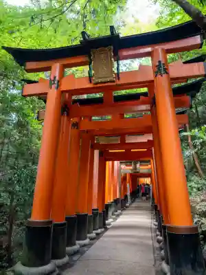 伏見稲荷大社(京都府)