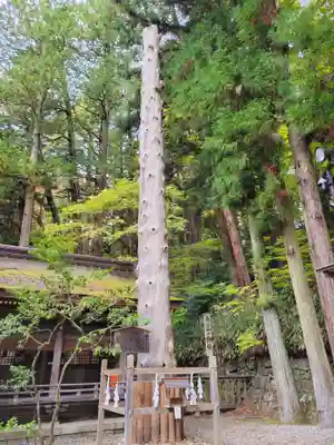 諏訪大社下社春宮(長野県)