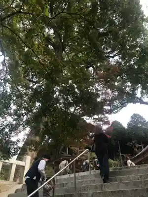 宝満宮竈門神社のその他建物