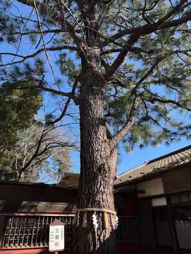 前原御嶽神社(千葉県)
