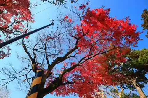 青葉神社の自然