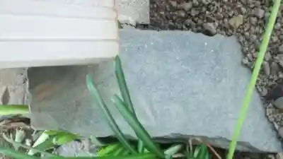 西光寺のその他建物