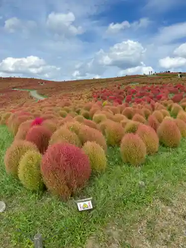 一乗院(身代不動尊) (茨城県)