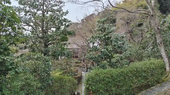 華厳寺(鈴虫寺)(京都府)