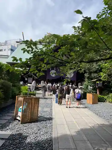 東京大神宮(東京都)