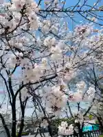 小垣江神明神社(愛知県)