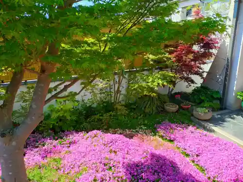 寿量山　速成寺(奈良県)