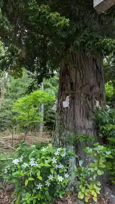 赤根天神社(京都府)
