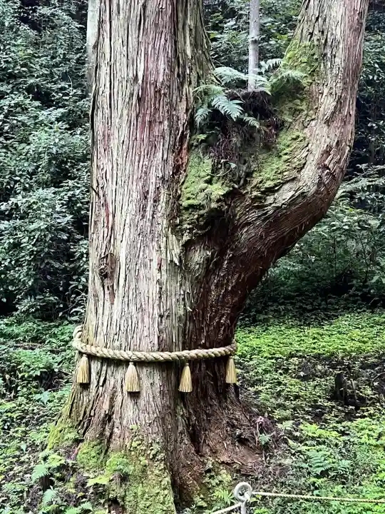 御岩神社(茨城県)