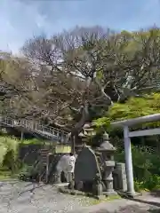 本牧神社の自然