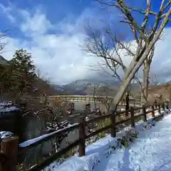 日光二荒山神社中宮祠の景色