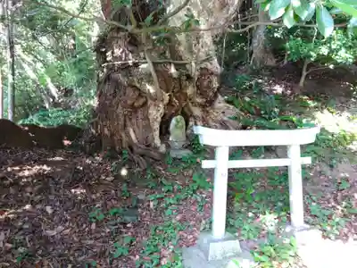 罔象女社(石川県)