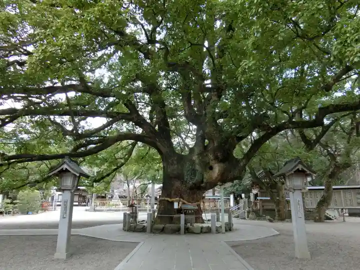 大麻比古神社の自然