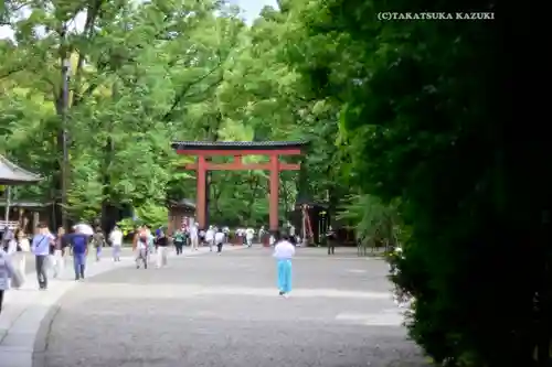 武蔵一宮氷川神社(埼玉県)