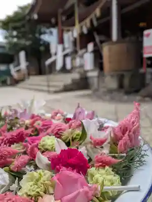 鳩森八幡神社(東京都)