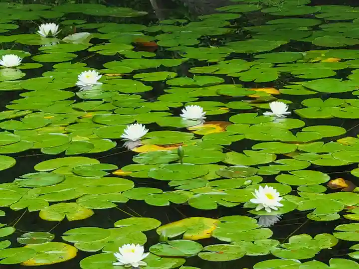 平安神宮(京都府)