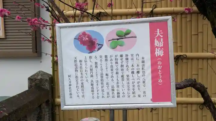 阿久刀神社(大阪府)