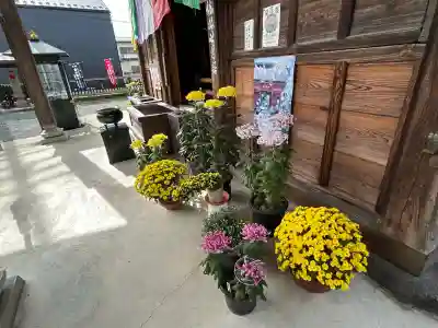 今宮坊の{uncategorized: "未分類", other: "その他", undefined: "問題あり", building: "その他建物", grave: "お墓", sacred_gate: "鳥居", guardian: "狛犬", statue: "像", buddha: "仏像", history: "歴史", nature: "自然", garden: "庭園", animal: "動物", pagoda: "塔", temizu: "手水舎", mountain_gate: "山門・神門", sanctuary: "本殿・本堂", subordinate: "末社・摂社", art: "芸術", scenery: "景色", jizo: "地蔵", ema: "絵馬", goshuin: "御朱印", omikuji: "おみくじ", items: "授与品その他", amulet: "お守り", goshuincho: "御朱印帳", eats: "食事", festival: "お祭り", votive_dance: "神楽", shichigosan: "七五三参", wedding: "結婚式", experience: "体験その他", initially: "初詣", around: "周辺", anti_infection: "感染症対策"}