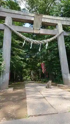 間々田八幡宮の鳥居