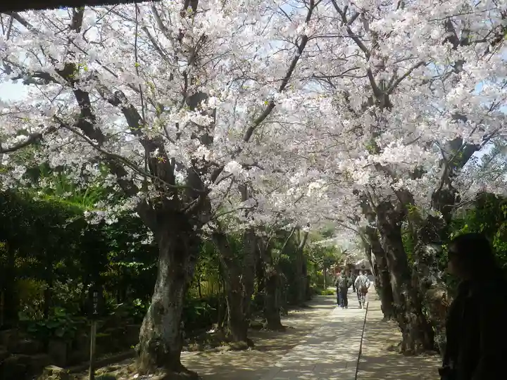 極楽寺(霊鷲山感應院極楽律寺)の自然