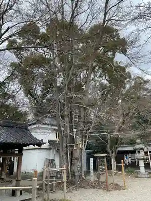 梨木神社(京都府)