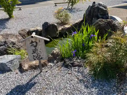 眞中神社(岐阜県)