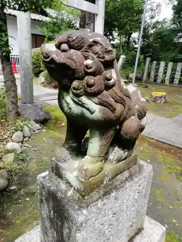 酒見神社の狛犬