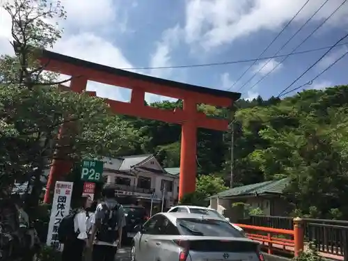 箱根神社の鳥居