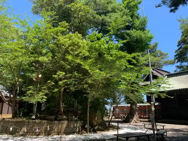 玉前神社の自然