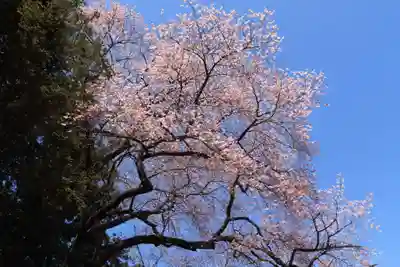 八幡神社の自然