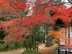 出石神社の自然