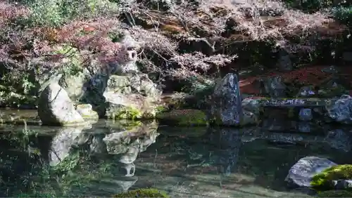 蓮華寺（洛北蓮華寺）(京都府)