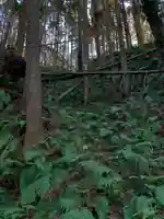 浅間神社の自然