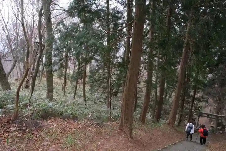 高龗神社の自然