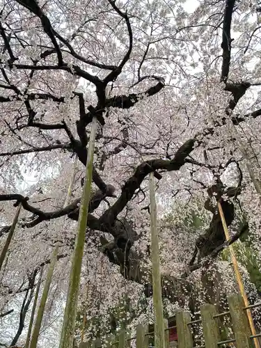 小川諏訪神社(福島県)