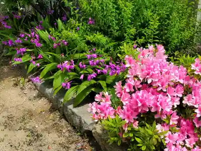 大物主神社の自然