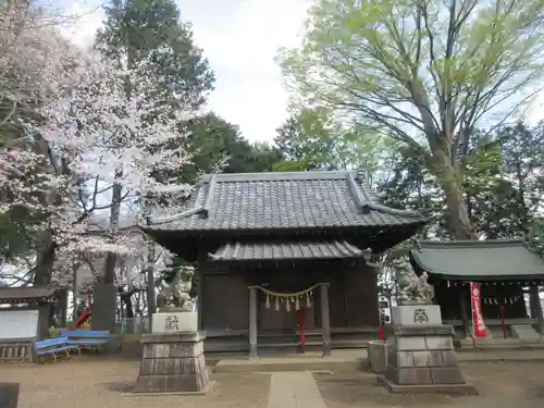 仙波氷川神社の本殿・本堂