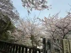 徳島眉山天神社(徳島県)