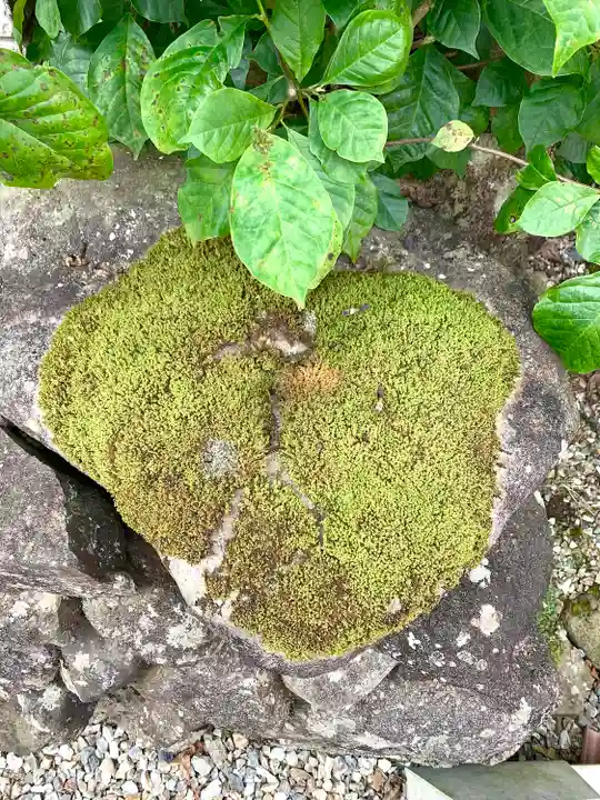 明智神社の自然