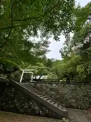 安房神社(千葉県)