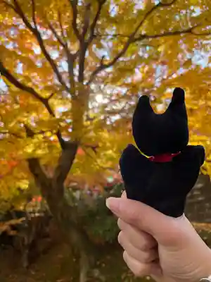 永源寺(茨城県)