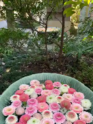 行田八幡神社の手水舎