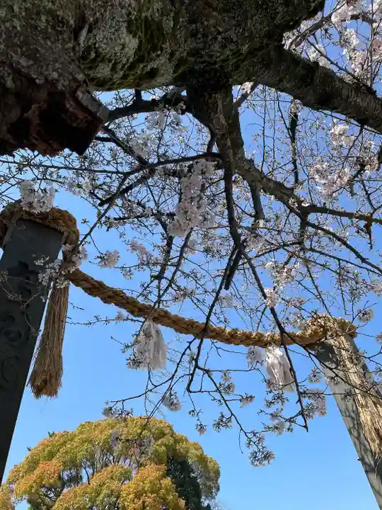 伊勢山皇大神宮(神奈川県)