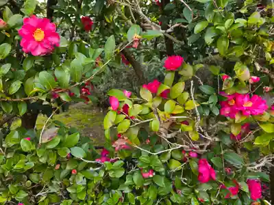 中宮寺(奈良県)