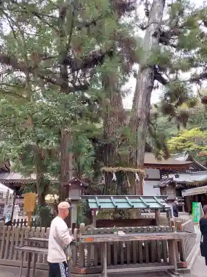 大神神社の{uncategorized: "未分類", other: "その他", undefined: "問題あり", building: "その他建物", grave: "お墓", sacred_gate: "鳥居", guardian: "狛犬", statue: "像", buddha: "仏像", history: "歴史", nature: "自然", garden: "庭園", animal: "動物", pagoda: "塔", temizu: "手水舎", mountain_gate: "山門・神門", sanctuary: "本殿・本堂", subordinate: "末社・摂社", art: "芸術", scenery: "景色", jizo: "地蔵", ema: "絵馬", goshuin: "御朱印", omikuji: "おみくじ", items: "授与品その他", amulet: "お守り", goshuincho: "御朱印帳", eats: "食事", festival: "お祭り", votive_dance: "神楽", shichigosan: "七五三参", wedding: "結婚式", experience: "体験その他", initially: "初詣", around: "周辺", anti_infection: "感染症対策"}